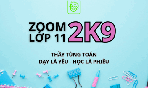 ZOOM TOÁN 11 – 2K9